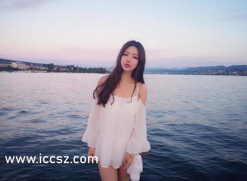 91永久地址发布,探索网络世界的秘密通道