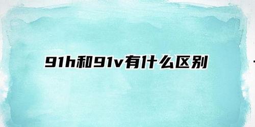 91h和91v区别,深度解析两大技术差异与应用场景